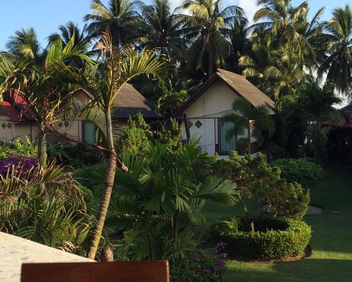 loli писает LOLITA BUNGALOWS (Самуй) - отзывы, фото и сравнение цен - Tripadvisor