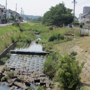 22年 知多郡で絶対外さないおすすめ観光スポットトップ10 定番から穴場まで トリップアドバイザー