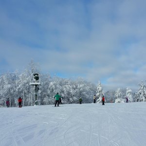 Thorne Swift Nature Preserve (Harbor Springs) - All You Need to Know ...