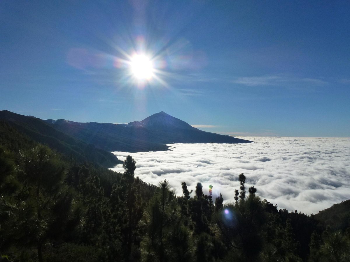 La Esperanza erdei