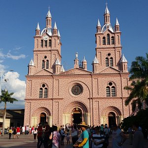 Minca selva colombiana