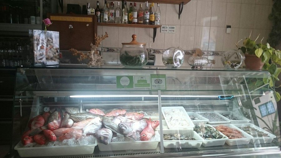 Hoy en Delicias Del Mar 🌊