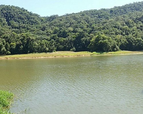 As melhores trilhas em Rio dos Cedros, Santa Catarina (Brasil)