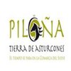 TurismoPilona