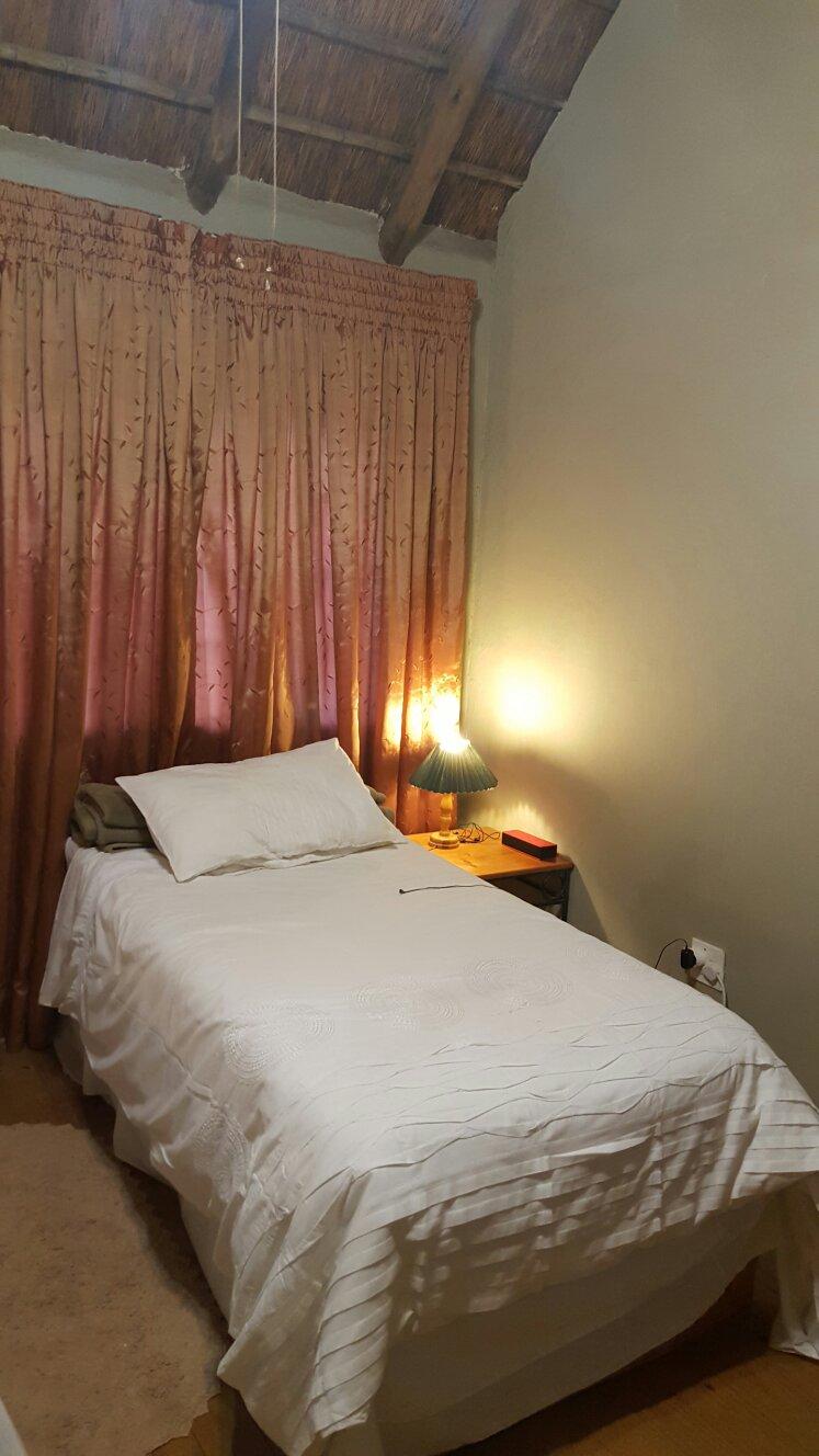 NORFOLK PINE - B&B Reviews (Centurion, South Africa)