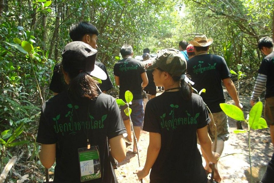 Ao Mahachai Mangrove Forest Natural Education Center image