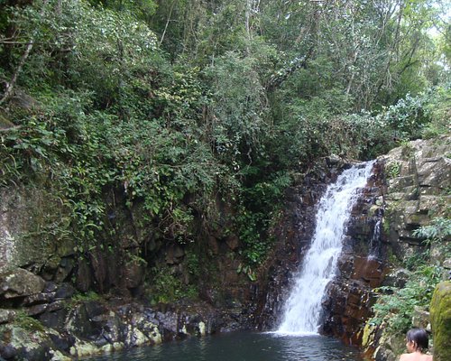 As melhores trilhas em Canhanduba, Santa Catarina (Brasil)