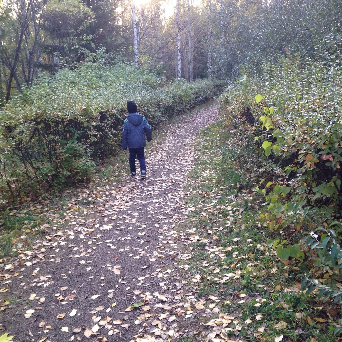 Музей леса по Красноярскому краю, Красноярск: лучшие советы перед  посещением - Tripadvisor