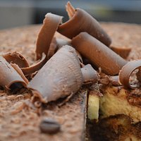 tiramisu de cerca