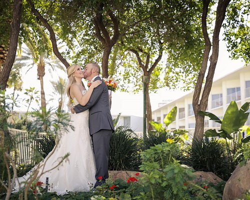Las vegas gay weddings