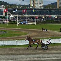 Trav är bäst på plats!