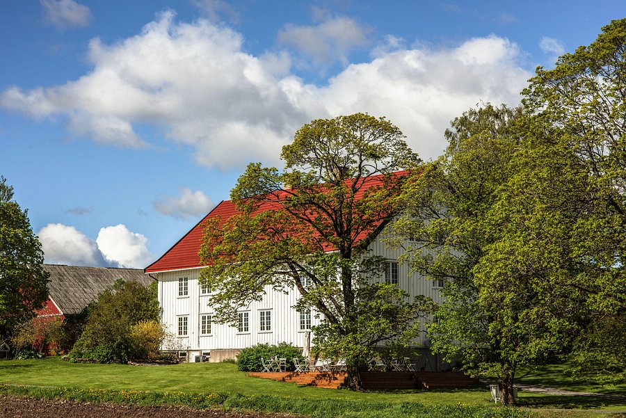 brønnøy speed dating norway