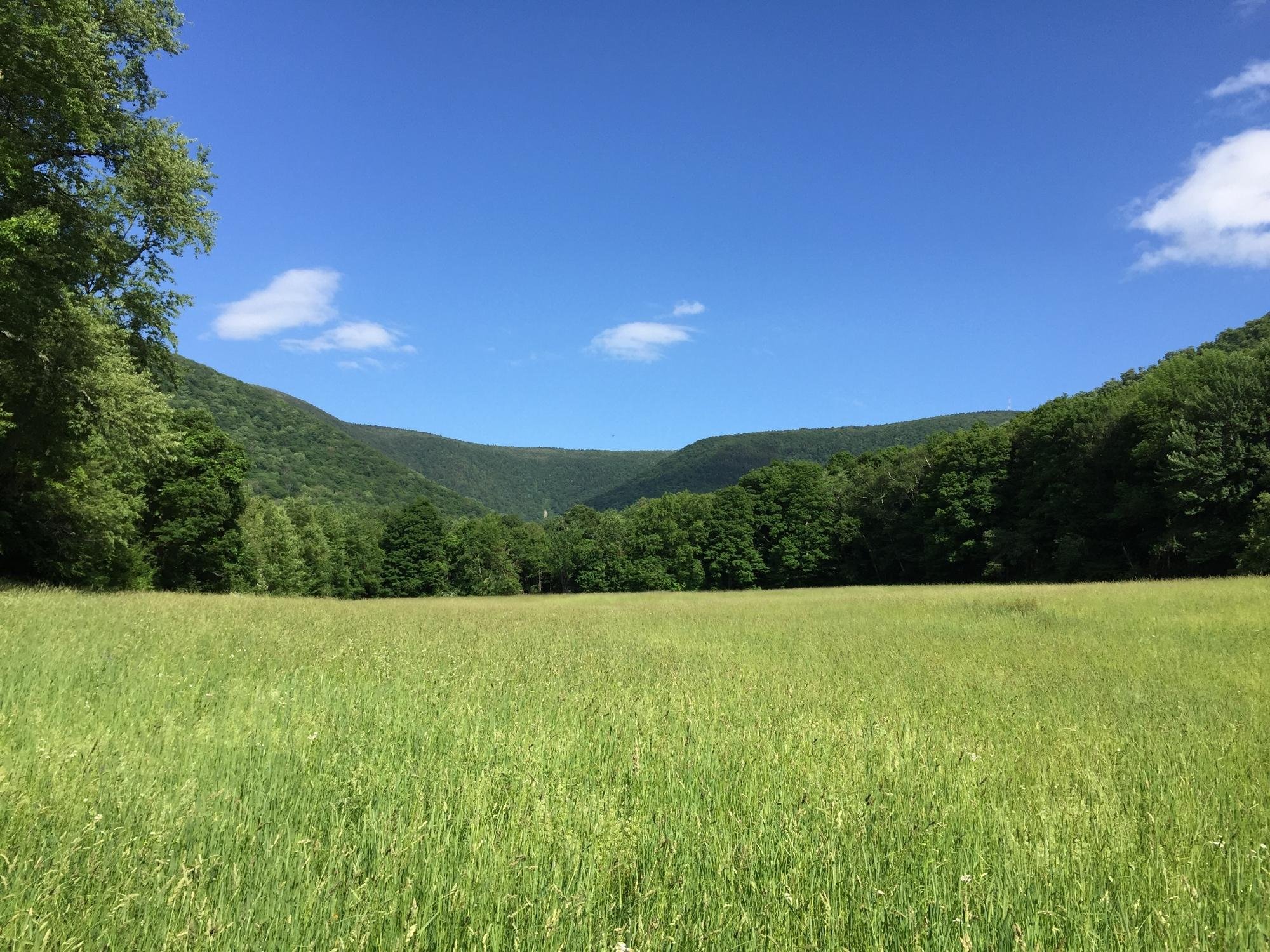 THE 15 BEST Things To Do In Berkshires - 2023 (with Photos) - Tripadvisor