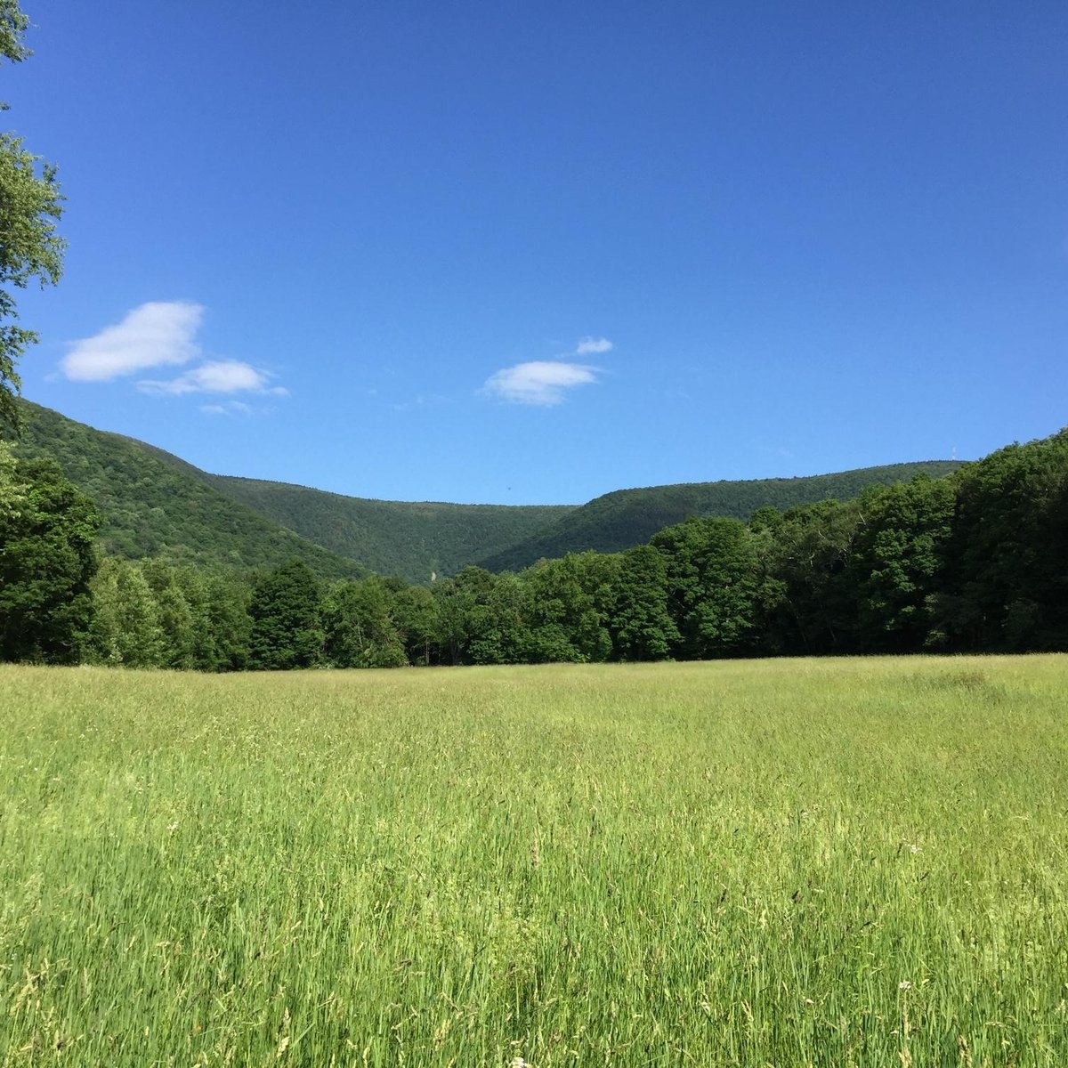 Mount Greylock State Reservation - All You Need to Know BEFORE You Go ...