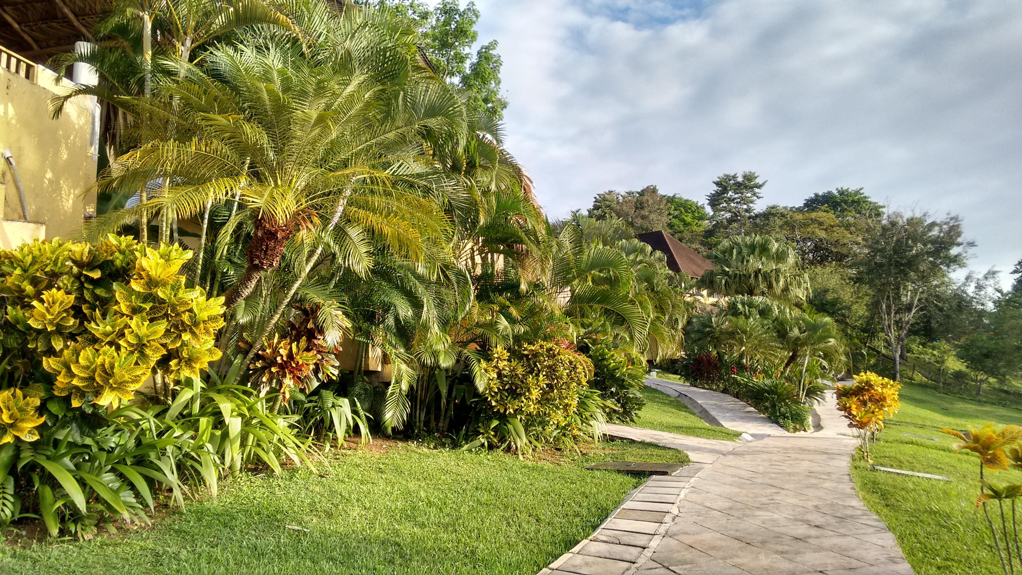 Hotel photo 86 of Banana Palms Hotel Resort & Marina.