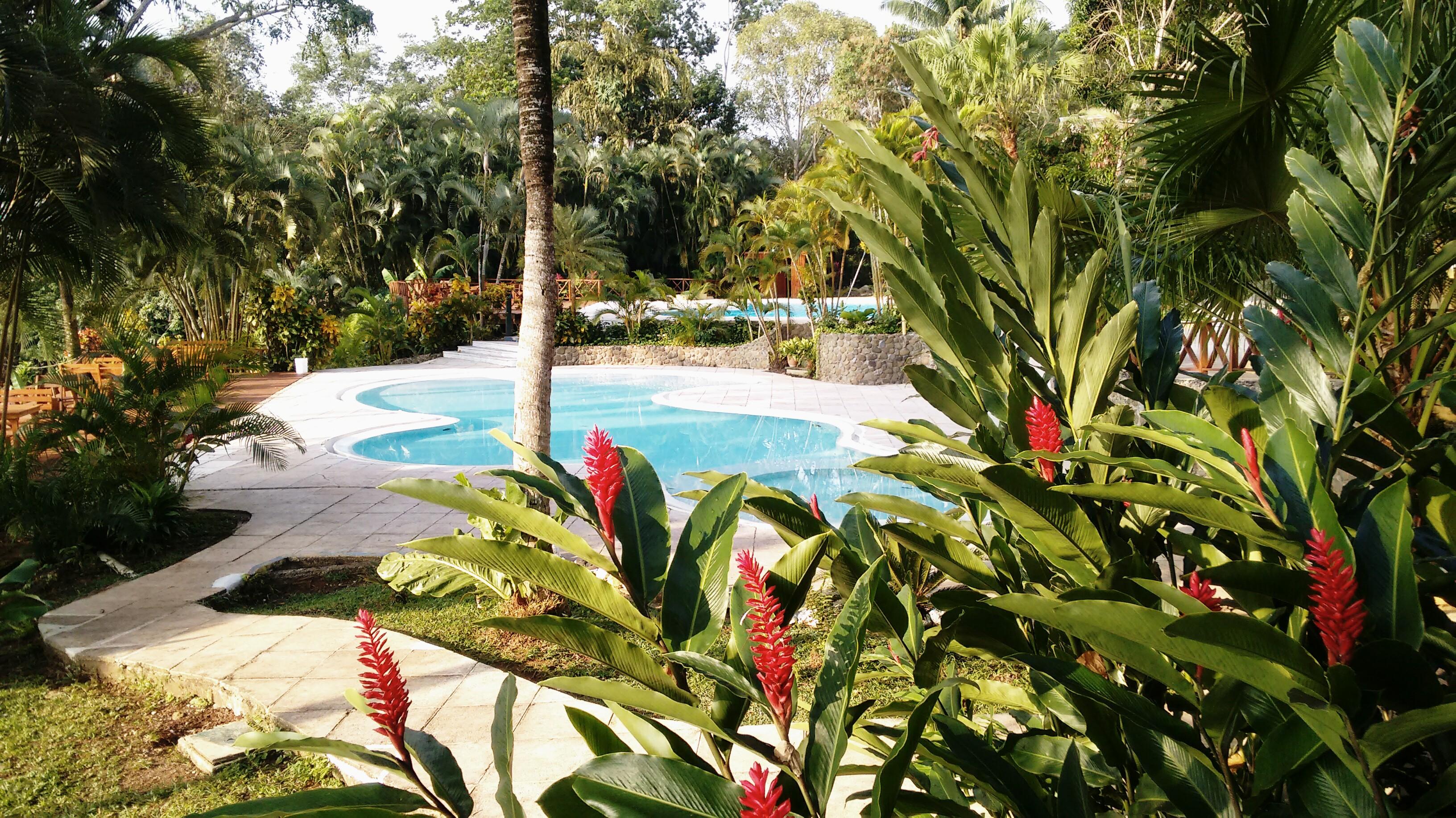 Hotel photo 47 of Banana Palms Hotel Resort & Marina.