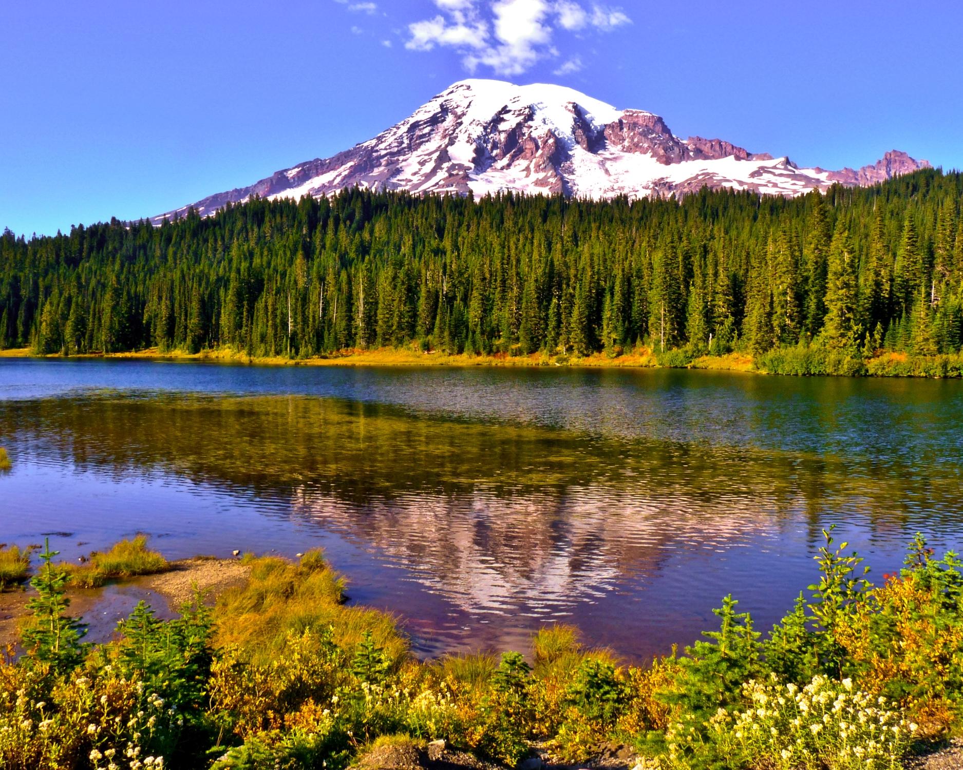 Mount Rainier - All You Need to Know BEFORE You Go (with Photos)