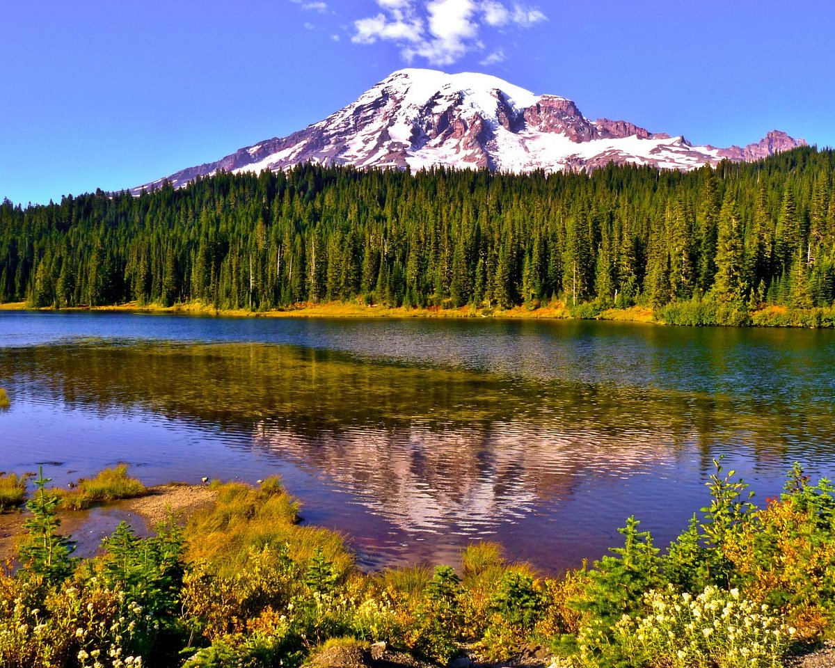 Perkemahan Mount Rainier National Park