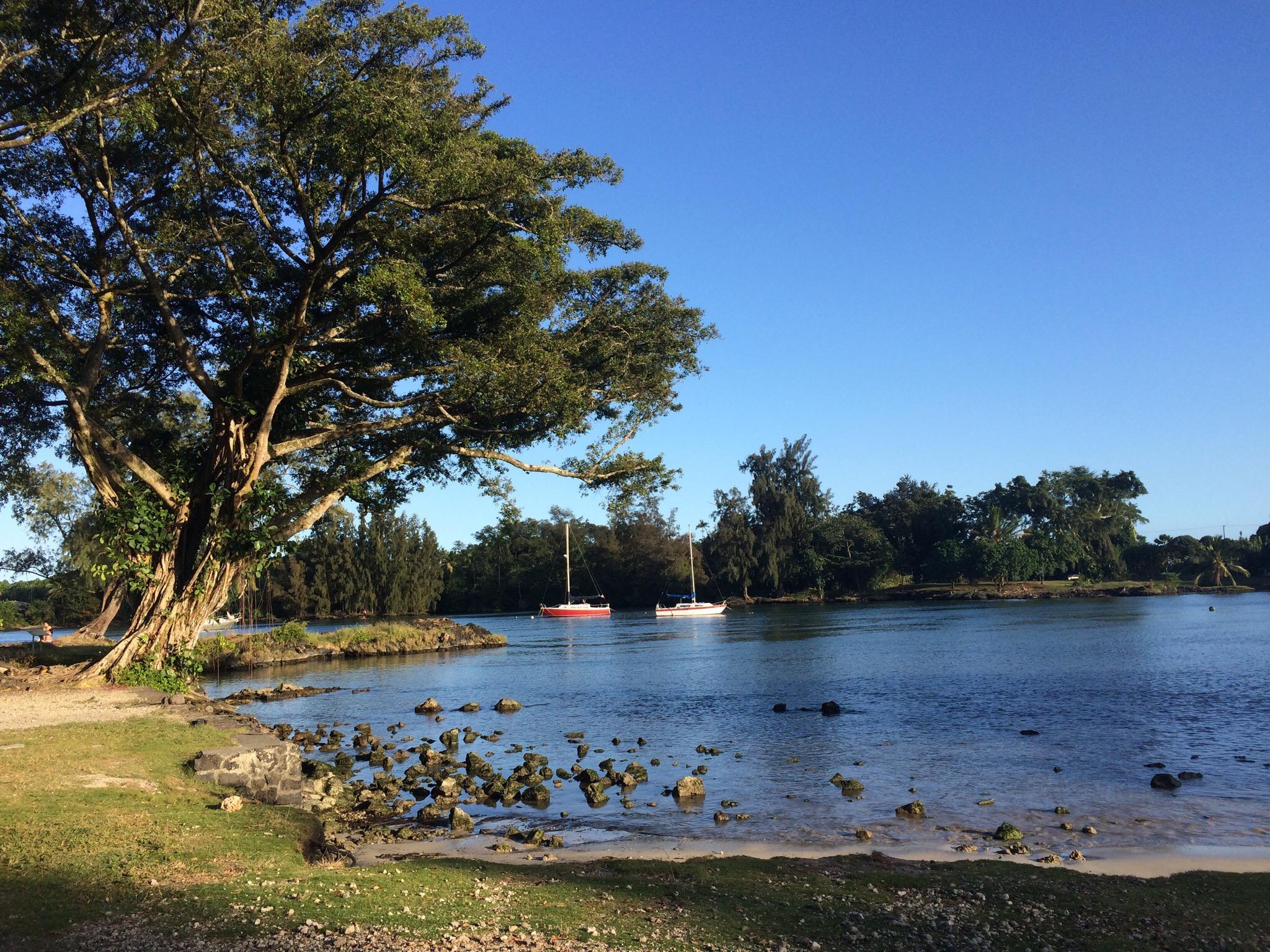 Discover Reeds Bay Beach Co Park: Your Ultimate Travel Guide