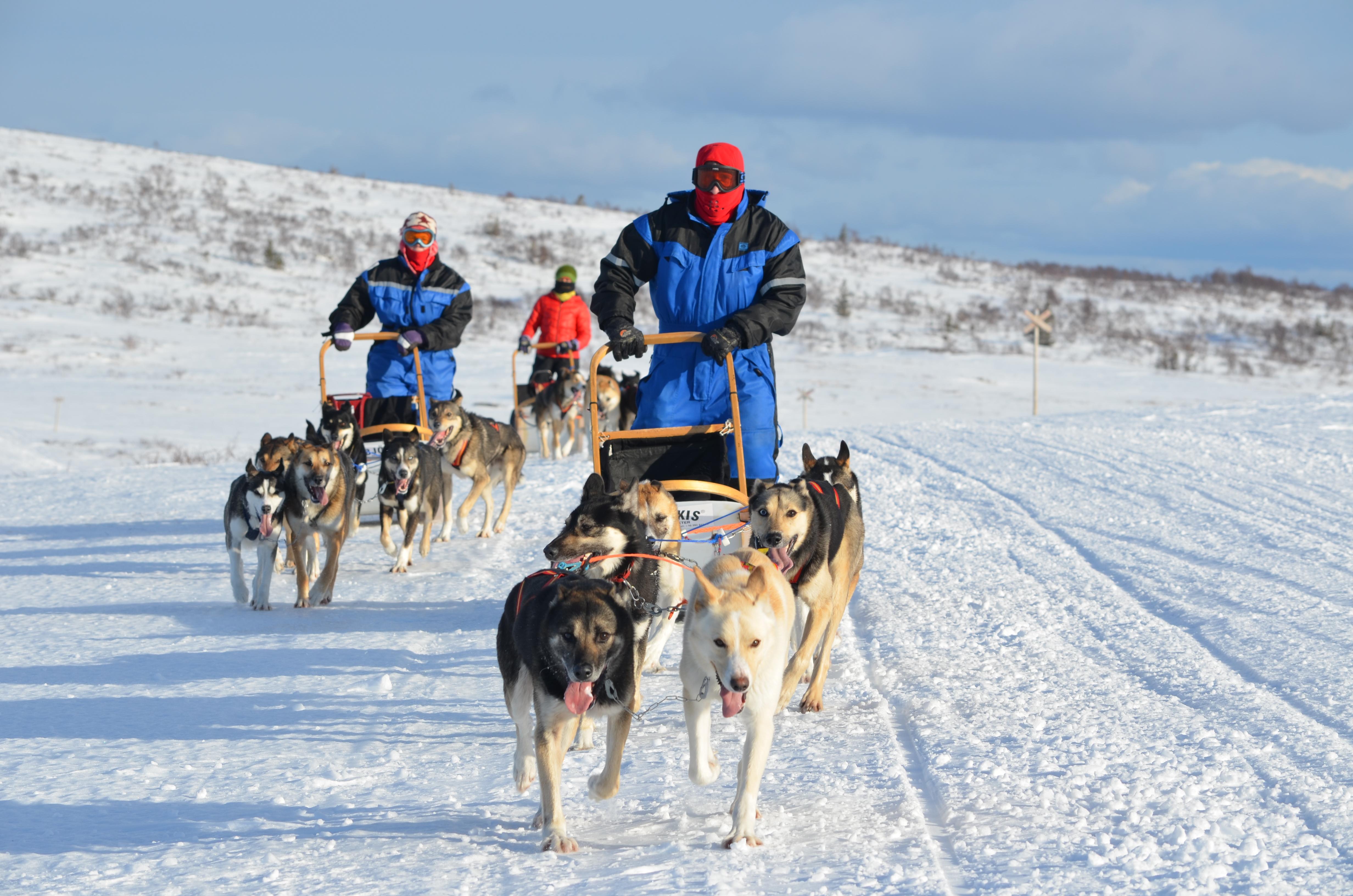 Husky adventures store