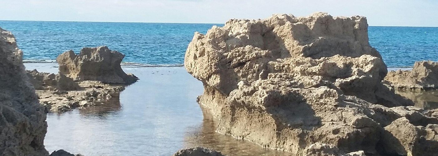 חוף דור והמזגגה..חוף טנטורה
Www.efitours.co.il