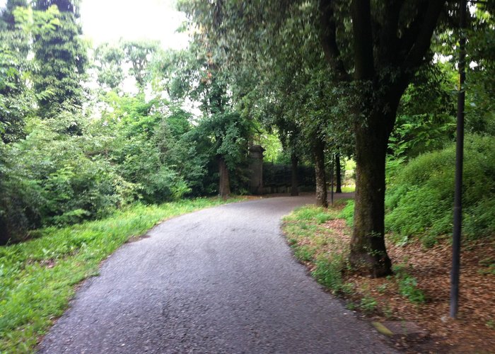 a nice walk at the Castle area 