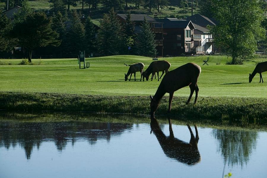 Lake Estes Executive 9 Hole Golf Course (Estes Park) All You Need to