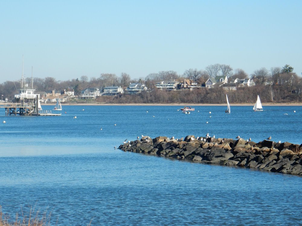 The 15 Best Things To Do In Perth Amboy (2024)