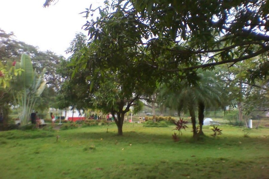 Parque Forestal image