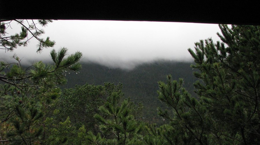 Verde y frío