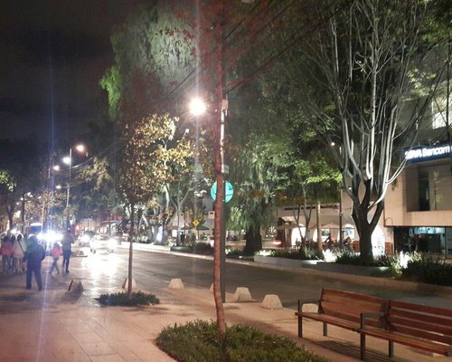 Best things to see & do in Polanco (CDMX's upscale neighborhood)