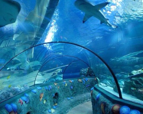 THE 10 BEST Zoos & Aquariums in Italy (Updated 2024) - Tripadvisor