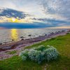 Top 7 Things to do in Kimito, Southwest Finland