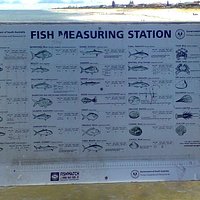 Fish Measuring Station