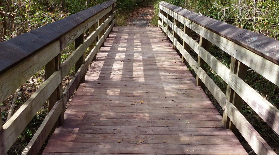 McLeod Water Park Campground Nature Trail