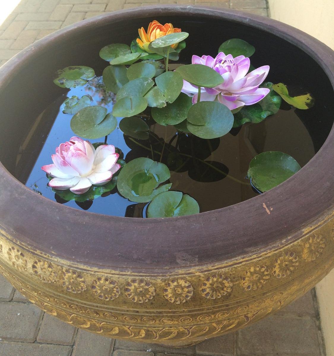 Waterlily Thai Massage Studio SWEET FACE THAI MASSAGE: All You Need to Know BEFORE You Go (with Photos)