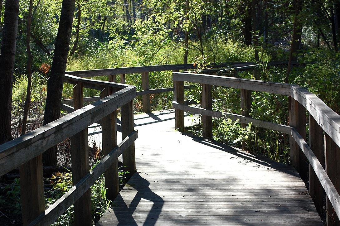 are dogs allowed at springbrook nature center