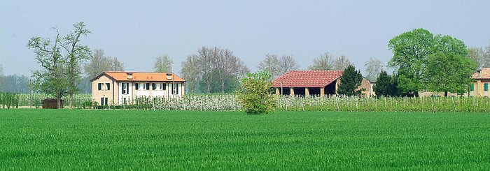 La Camera Azzurra - Picture of Agriturismo alla Casella, Ferrara -  Tripadvisor