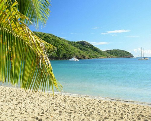 THE 10 BEST Antigua Beaches (Updated 2024) - Tripadvisor
