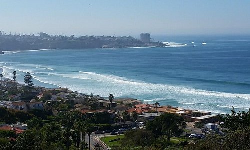 La jolla seals 2 - Picture of La Jolla, San Diego - Tripadvisor