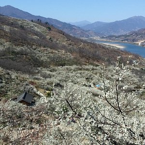 21年韩国全罗南道的旅游景点 旅游指南 行程 Tripadvisor