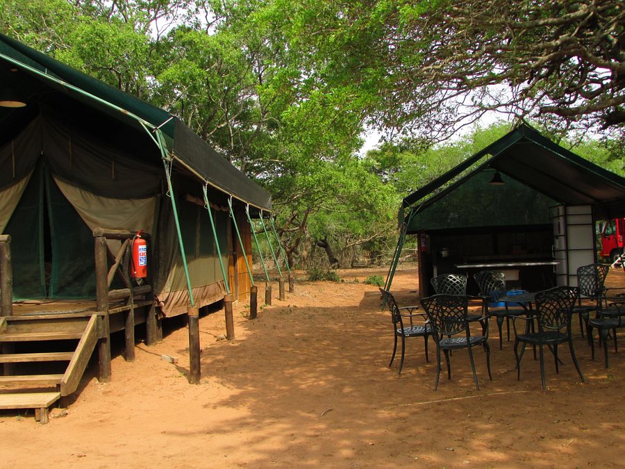 MKUZE TENTED CAMP Lodge Reviews  Mkuze Game Reserve  South Africa