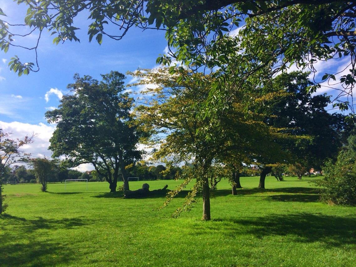 Tooting Common (Londen) - Alles wat u moet weten VOORDAT je gaat (met ...