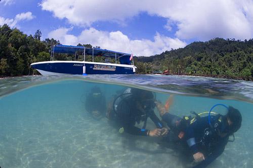 ADVENTURES IN BORNEO WITH DOWNBELOW MARINE & WILDLIFE (Kota Kinabalu ...