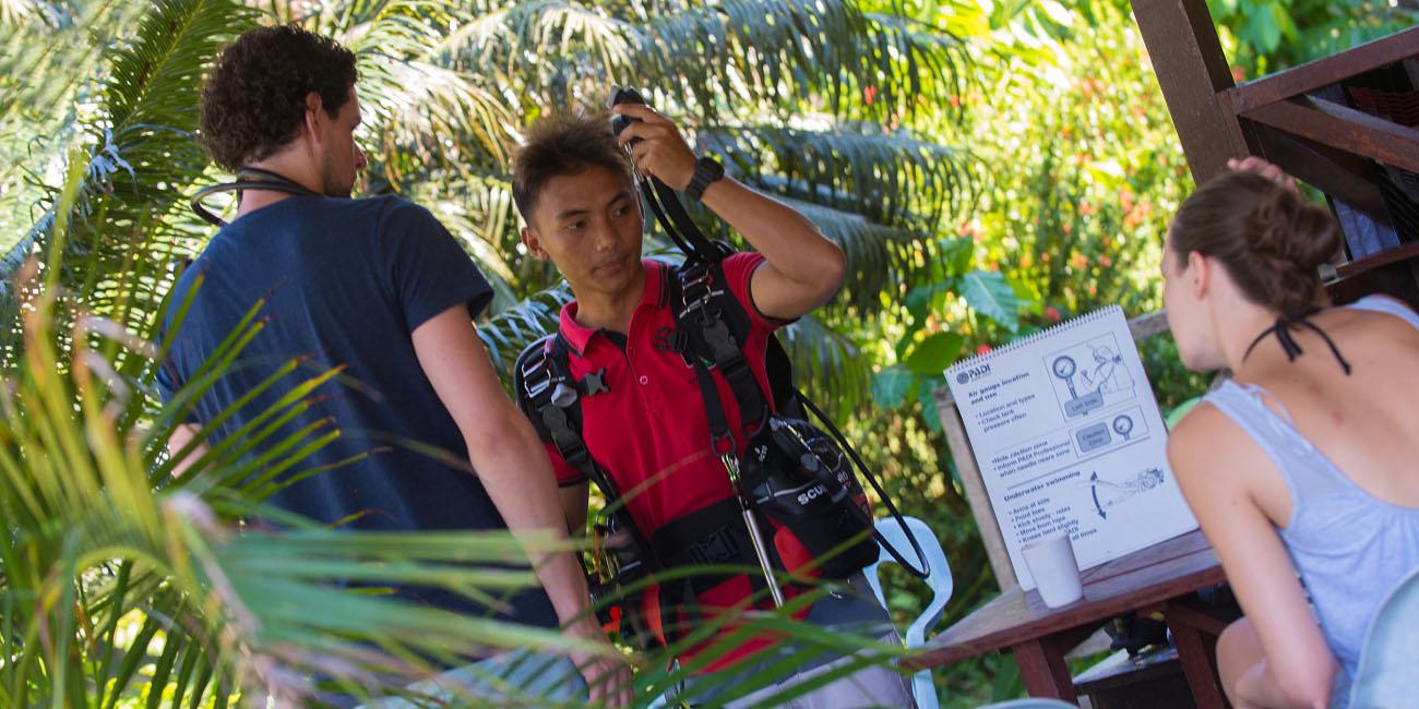 Adventures In Borneo With Downbelow Marine & Wildlife - 코타키나발루 ...