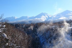 旅行者の写真