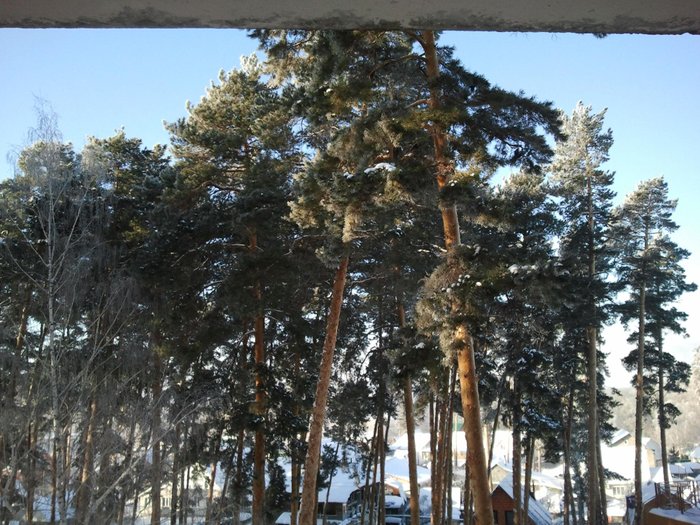 Пенза санаторий серебряный бор