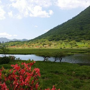21年 群馬県で絶対外さないおすすめ観光スポットトップ10 定番から穴場まで トリップアドバイザー 21年 群馬県で絶対外さないおすすめ観光スポットトップ10 定番から穴場まで トリップアドバイザー