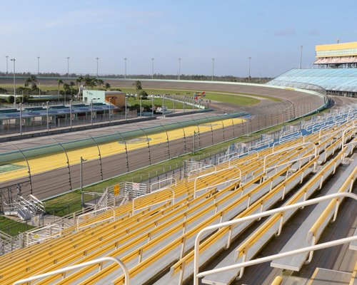 Conjunto Autódromo da Florida Infantil Pista de Corrida Carros - Chic  Outlet - Economize com estilo!