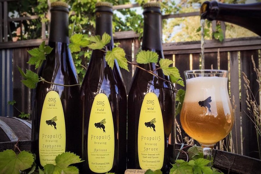 Propolis Brewing image